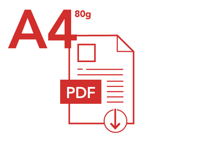 ICONE_A4_PDF_ROUGE_3